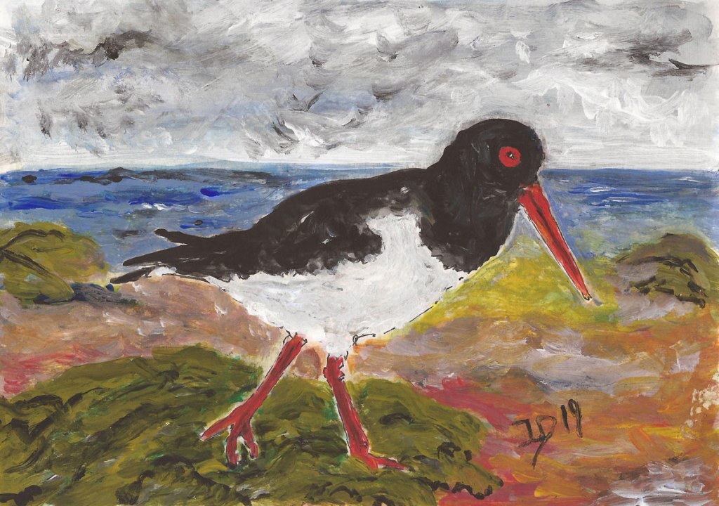 Inselrückblick (7). Der lauteste Vogel