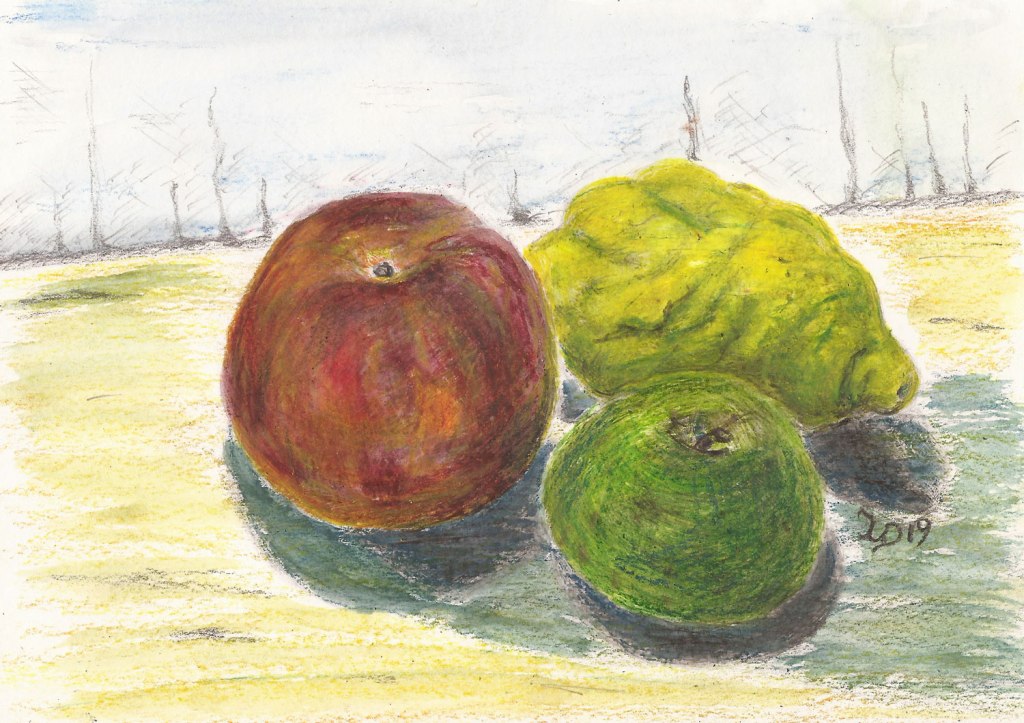 Stillleben-Etüde. Obst