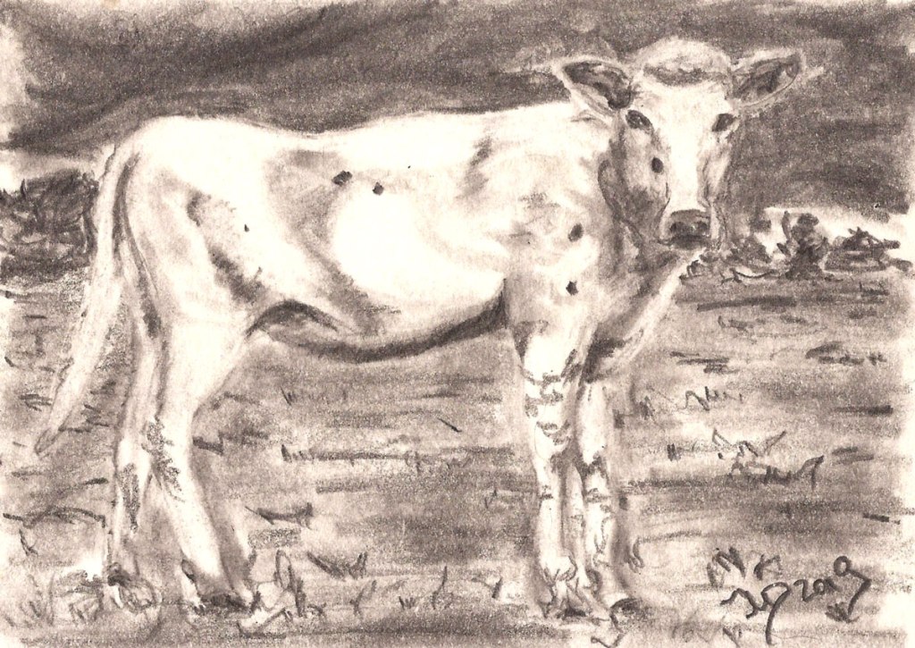 Inselrückblick (16). Schaut in diese Augen.&nbsp;Postkarte