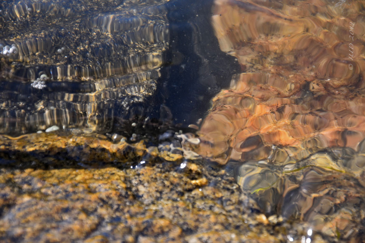 20190723_Pellwor_104_BG