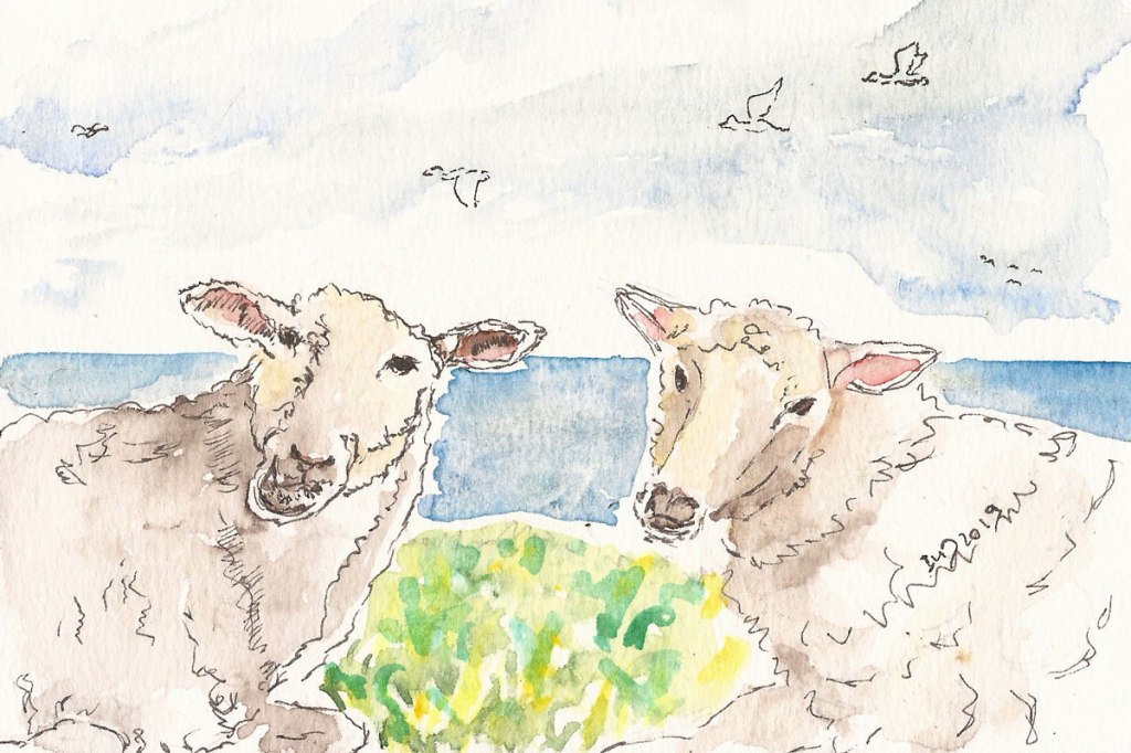 Inselrückblick (18). Postkärtchen