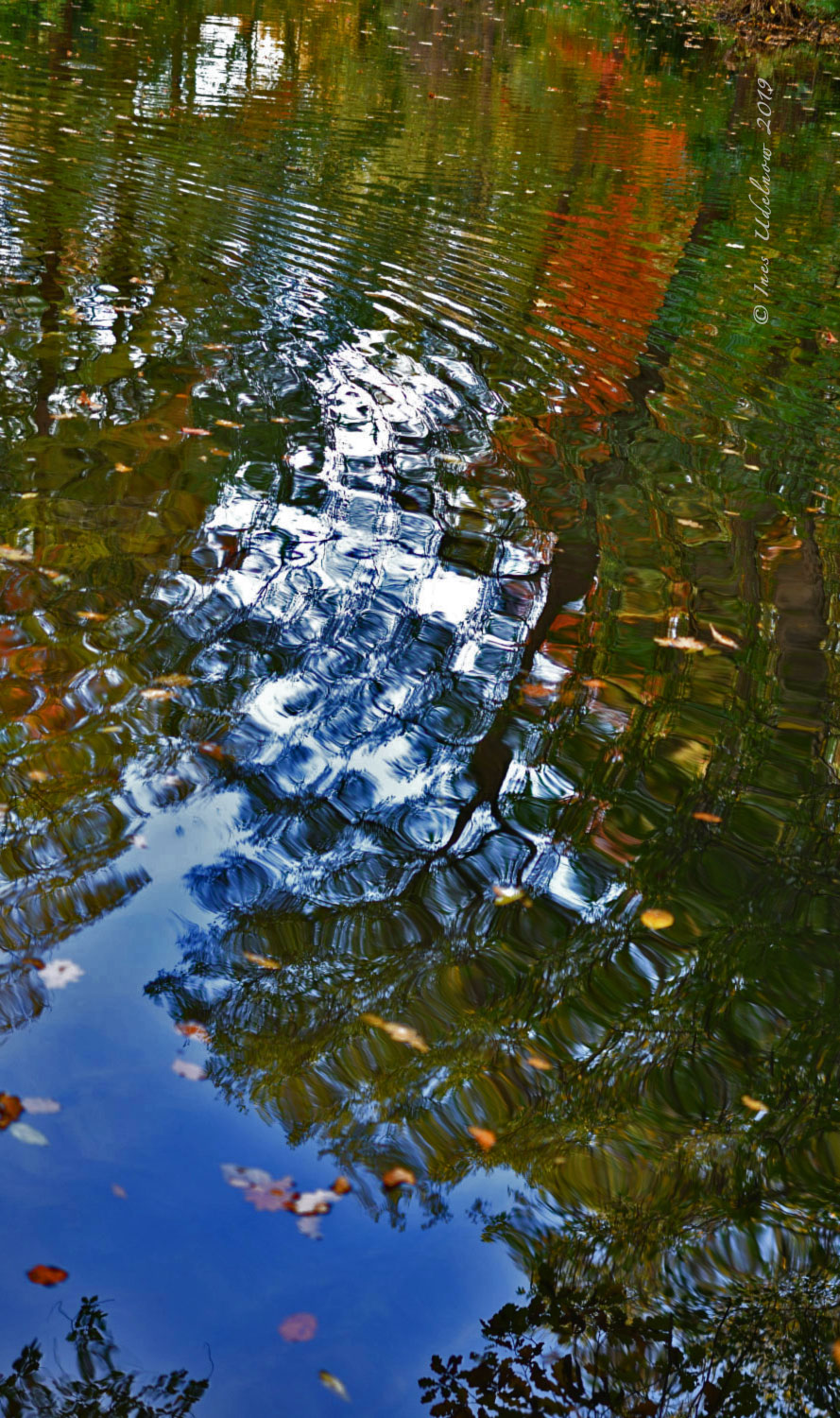 Herbstleuchten. Farbenwellen
