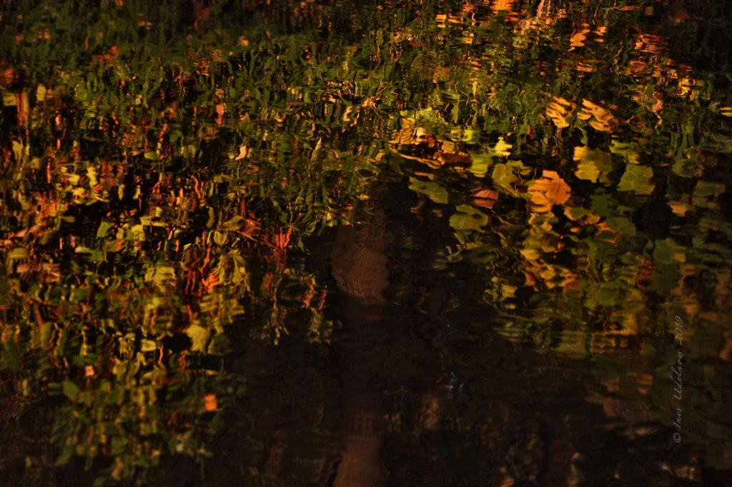 Herbstleuchten. Elfenzauber