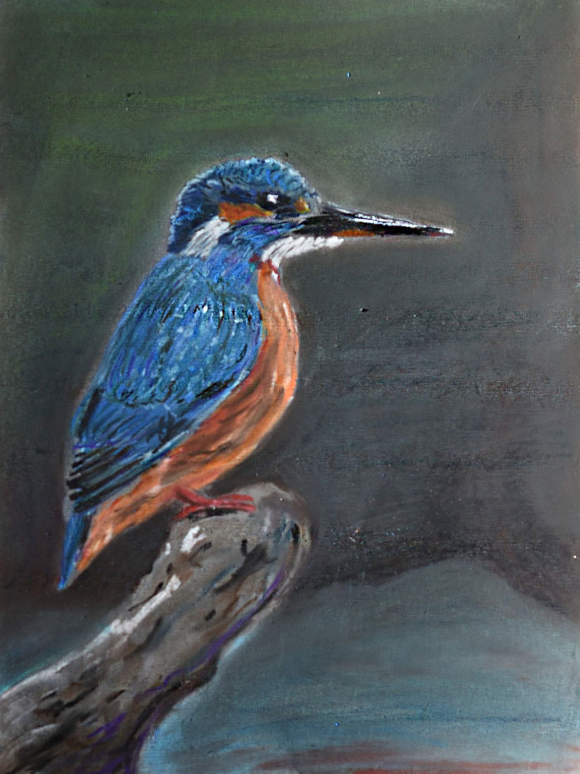 Eisvogel, Pastellkreide auf getöntem Pastellpapier, ca. 24*32 cm
