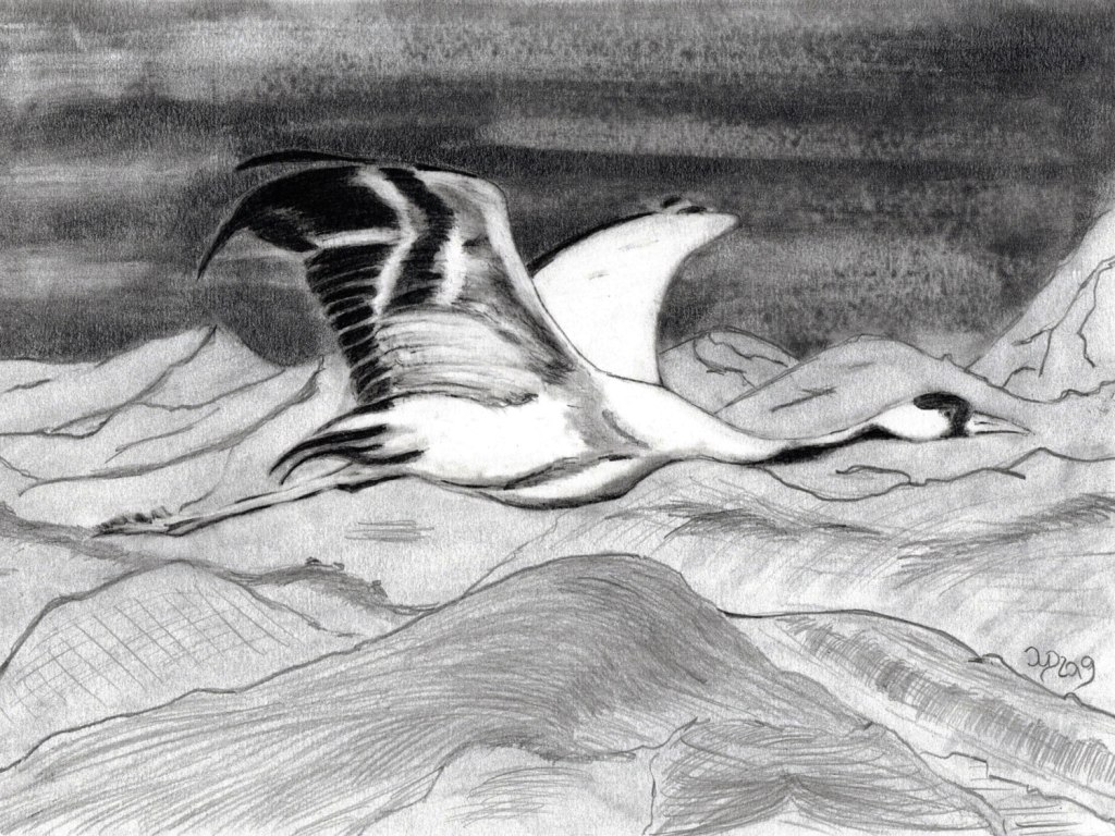 1000 Kraniche. Nach Süden