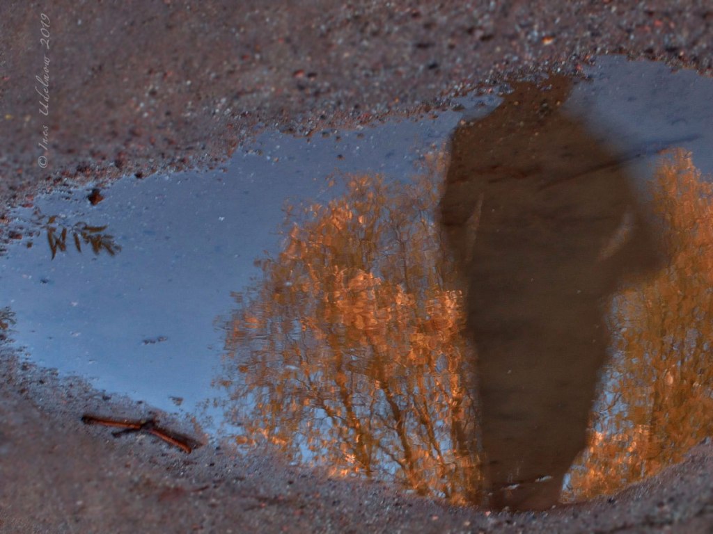 Herbstleuchten. Sie läuft und läuft und läuft&nbsp;…