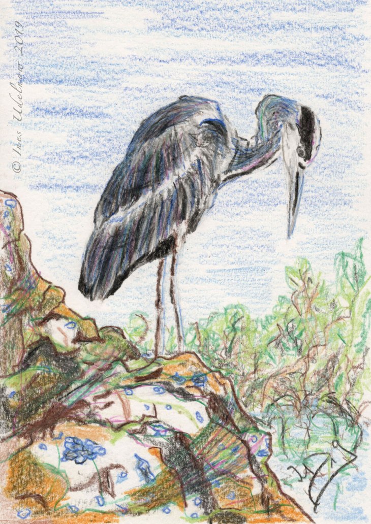 20191112_Graureiher_Buntstifte_BG