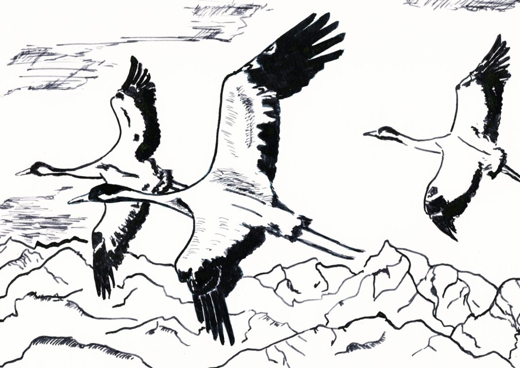 1000 Kraniche. Kleine Tuschezeichnung