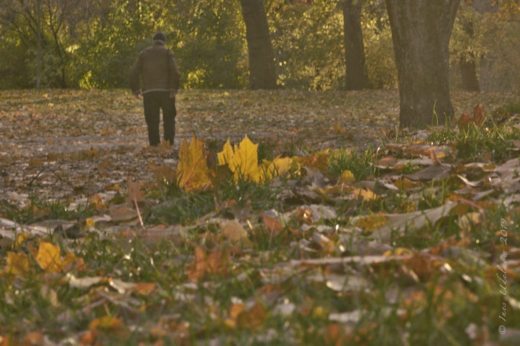 An einem Herbsttag …