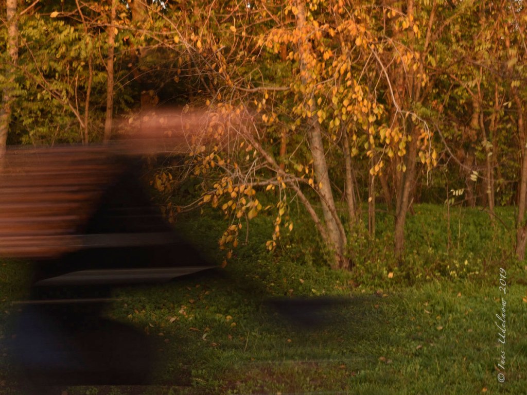 Herbstleuchten. Wuschhh