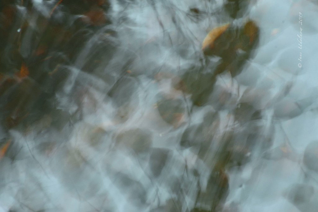 Symphonie des Lebens