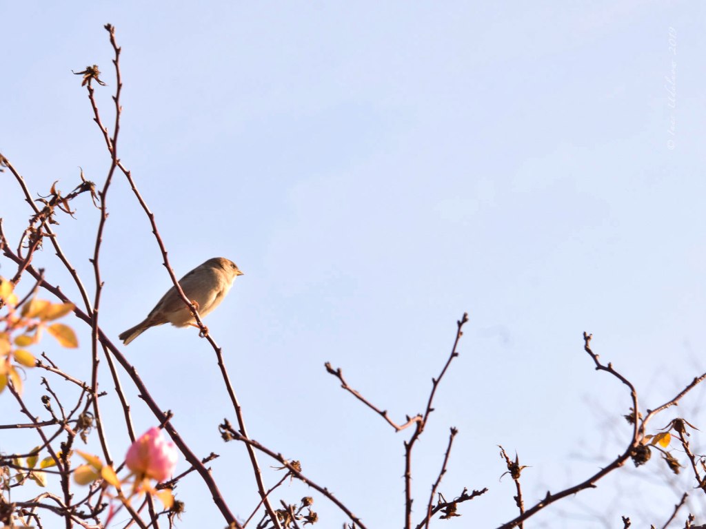 Es sind doch immer wieder die kleinen Dinge …