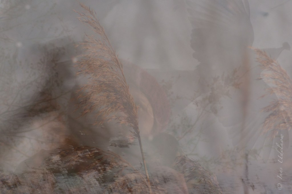 Selbst. Schichten sichten