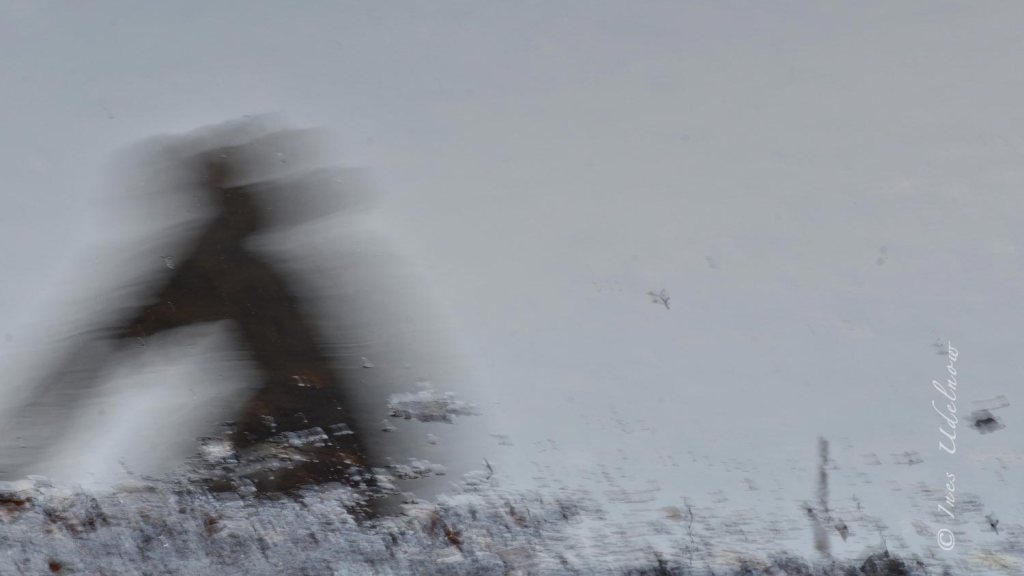 Angemessen dem spiegelnden Nass