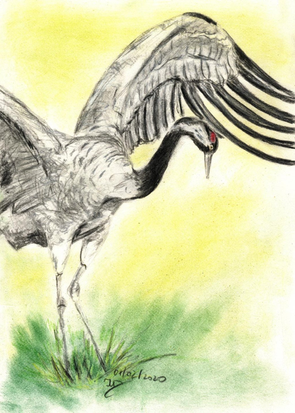 1000 Kraniche. Buntstiftzeichnung