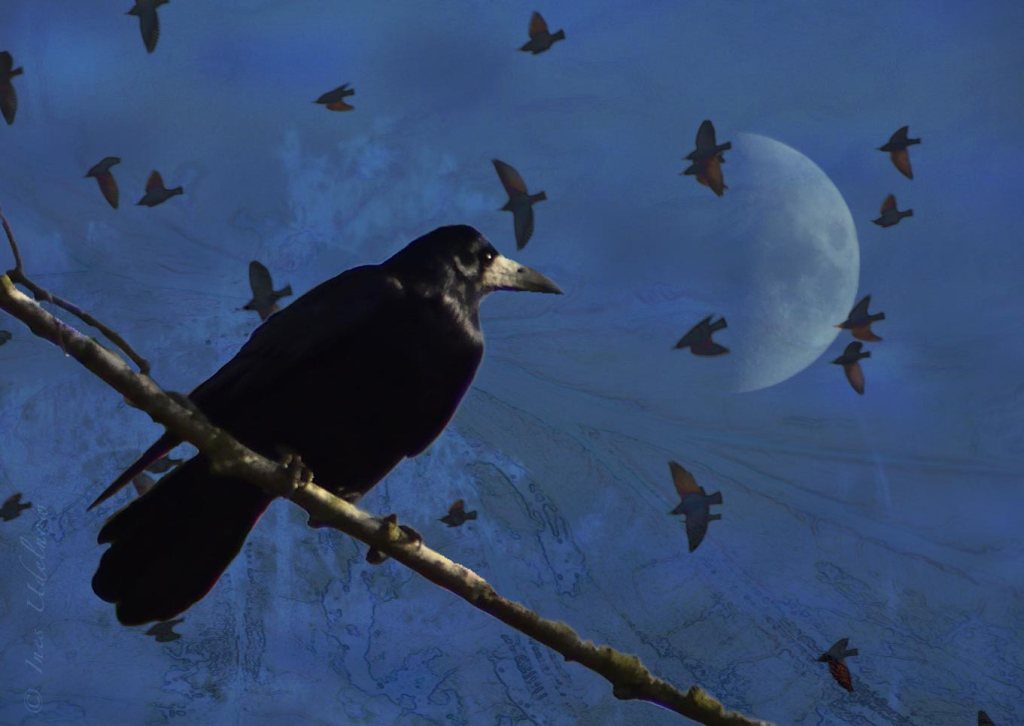 Digitale Abendspielerei. Die Hüterin