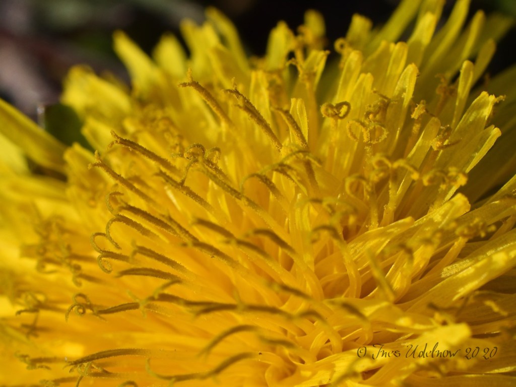 Sie braucht uns&nbsp;nicht