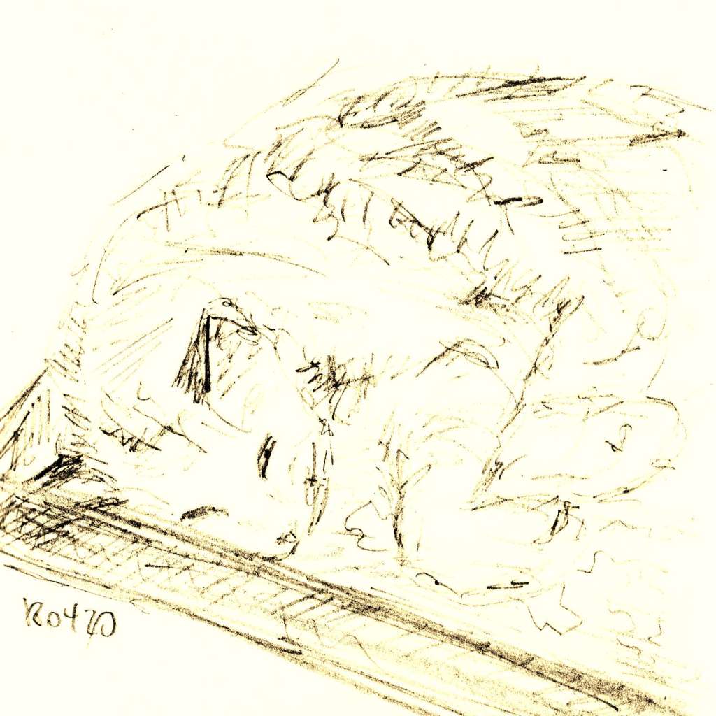 Schnellskizzen. Katze im&nbsp;Karton