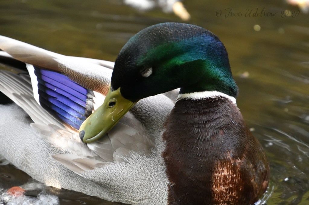 Die Dame und der feine&nbsp;Herr