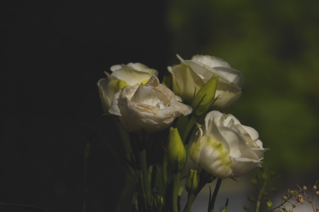 Am Grab meiner Mutter