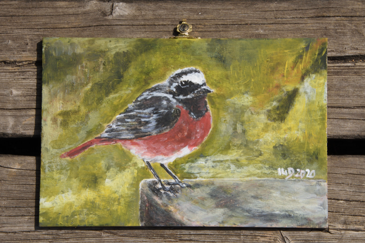 20200703_ZigBrett_Rotschwanz_1