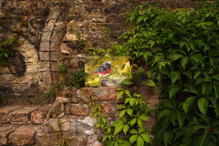 20200703_ZigBrett_Rotschwanz_3