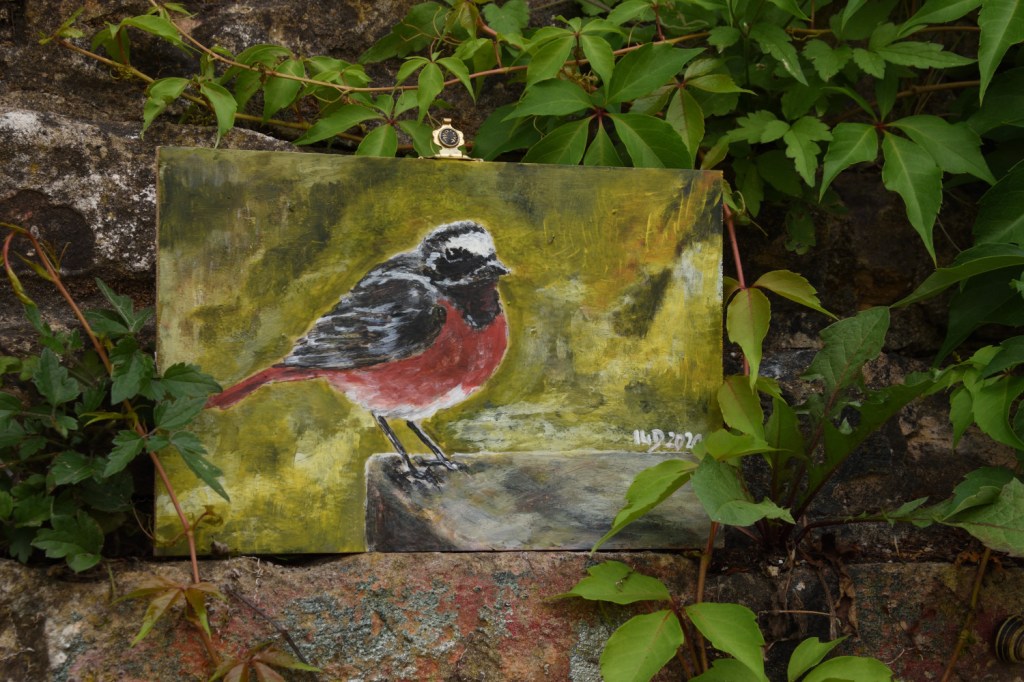 Kunst auf Zigarrenkistenbrettchen. Gartenrotschwanz