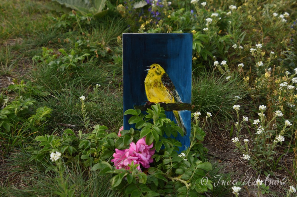 Kunst auf Zigarrenkistenbrettchen. Goldammer