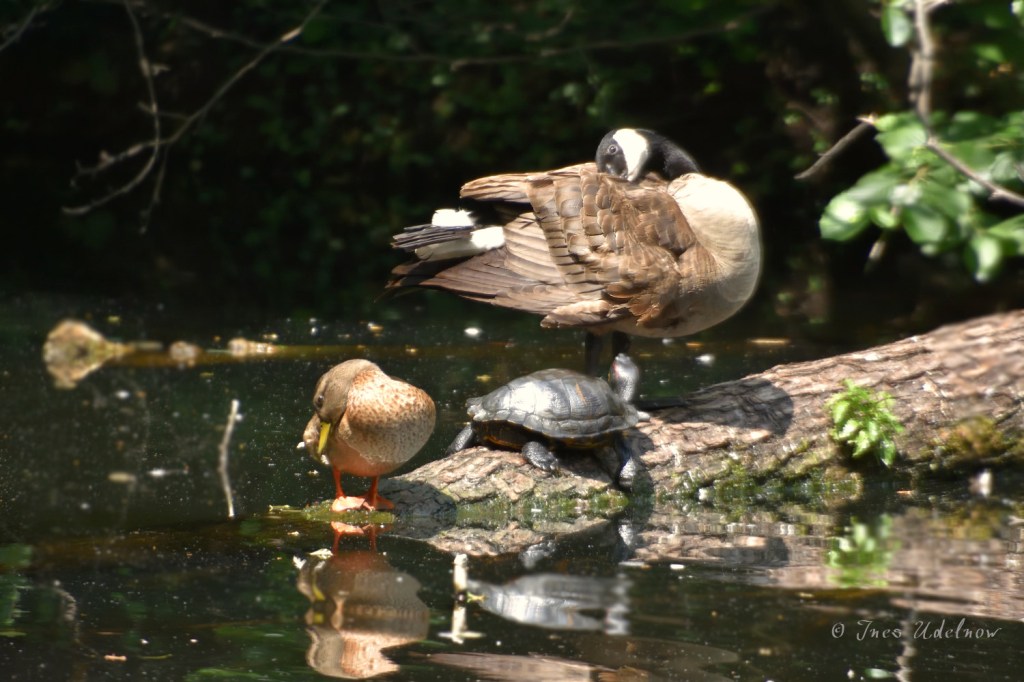 In trauter Dreisamkeit