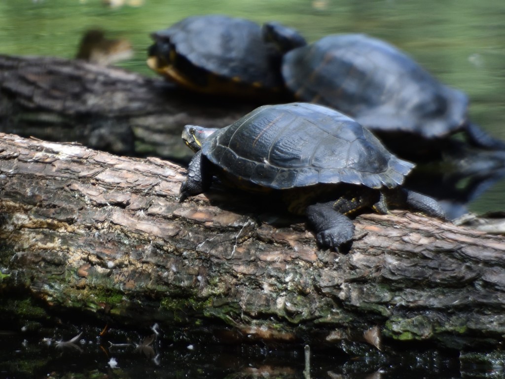 Schon wieder Sonntag …