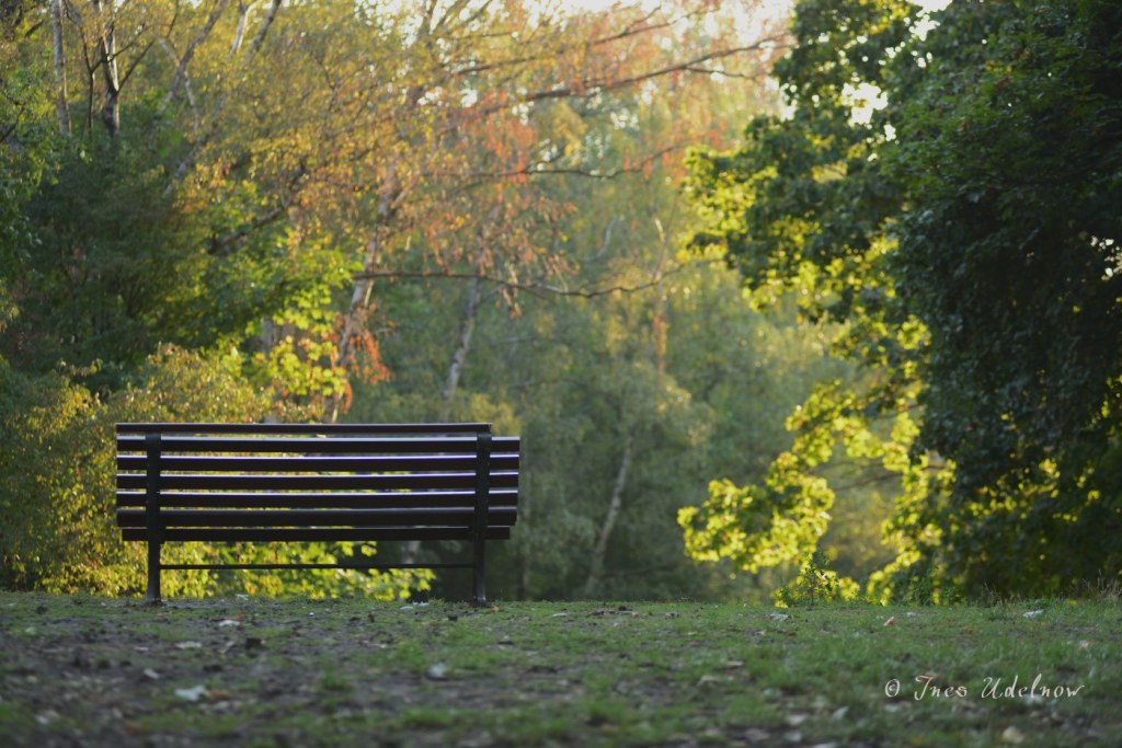 Einsamkeit ist keine&nbsp;Kategorie