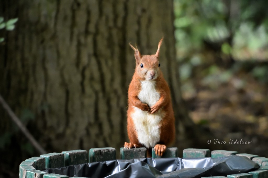 Sehen und Gesehen&nbsp;werden