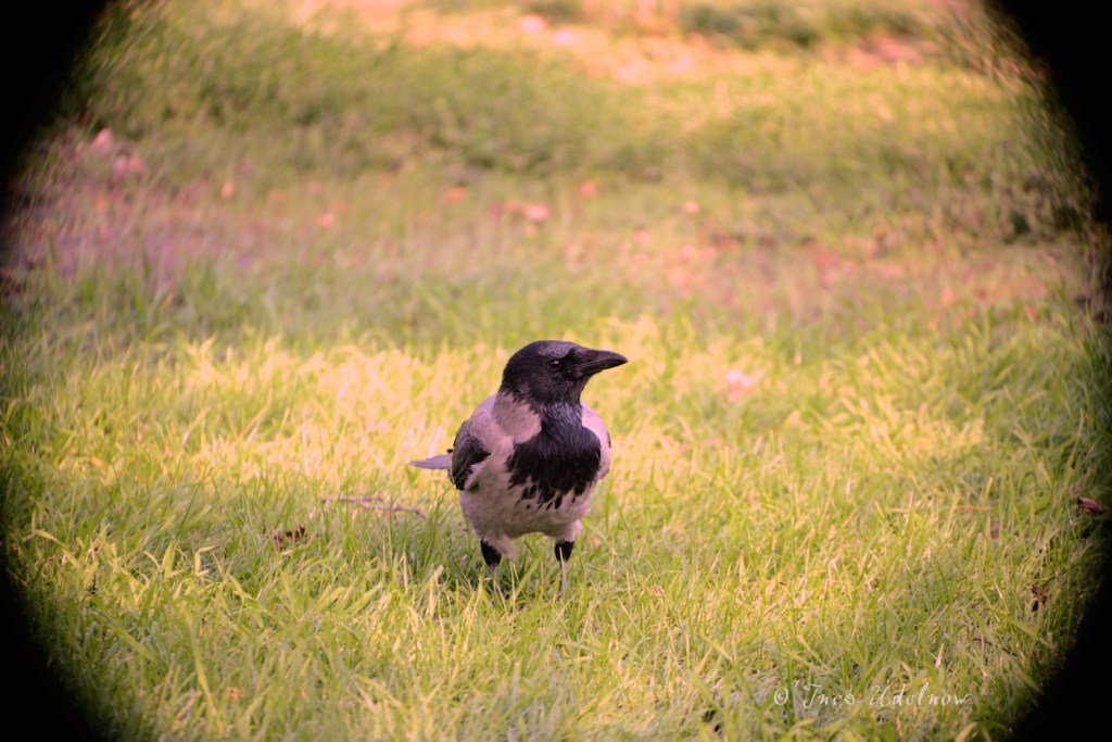 Durchs Schlüsselloch geschaut