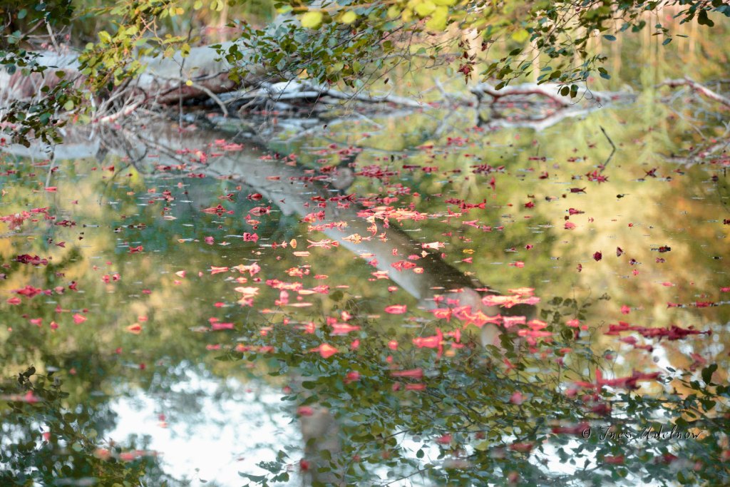 Ebenen und Dimensionen