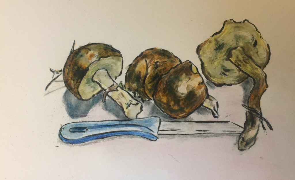 Mischtechnik. Stillleben Pilze