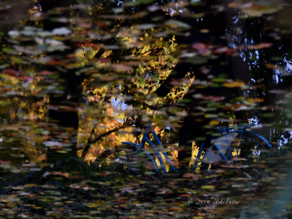 Ein kurzer Augenblick nur