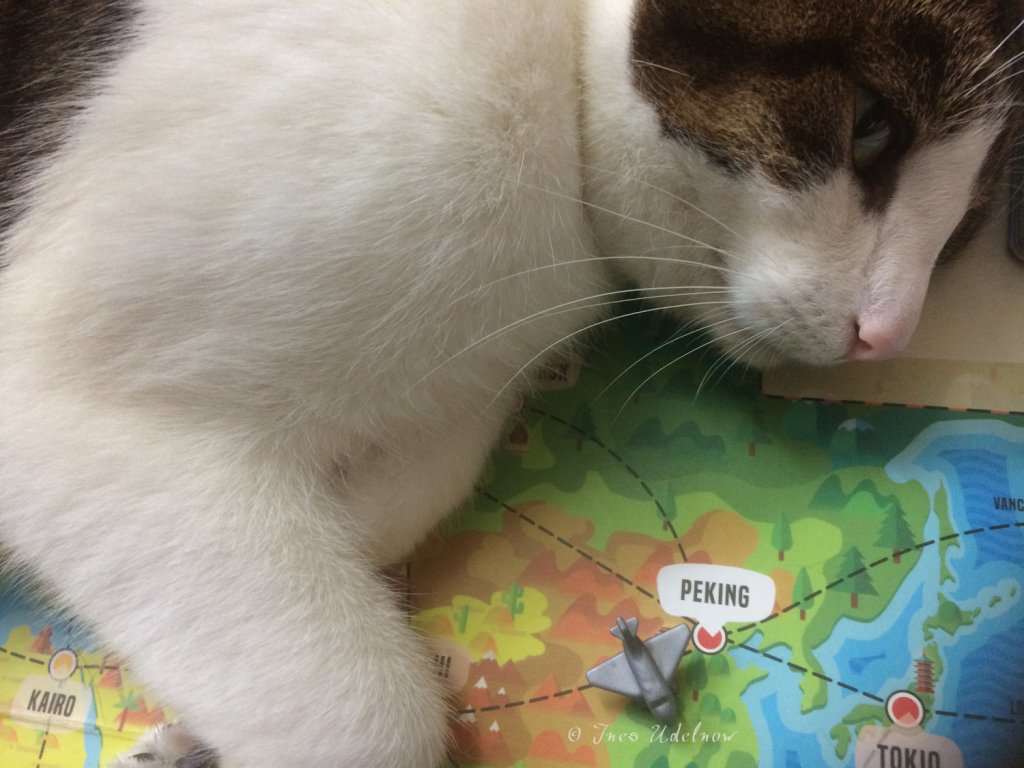 Herrscherinnen der Welt