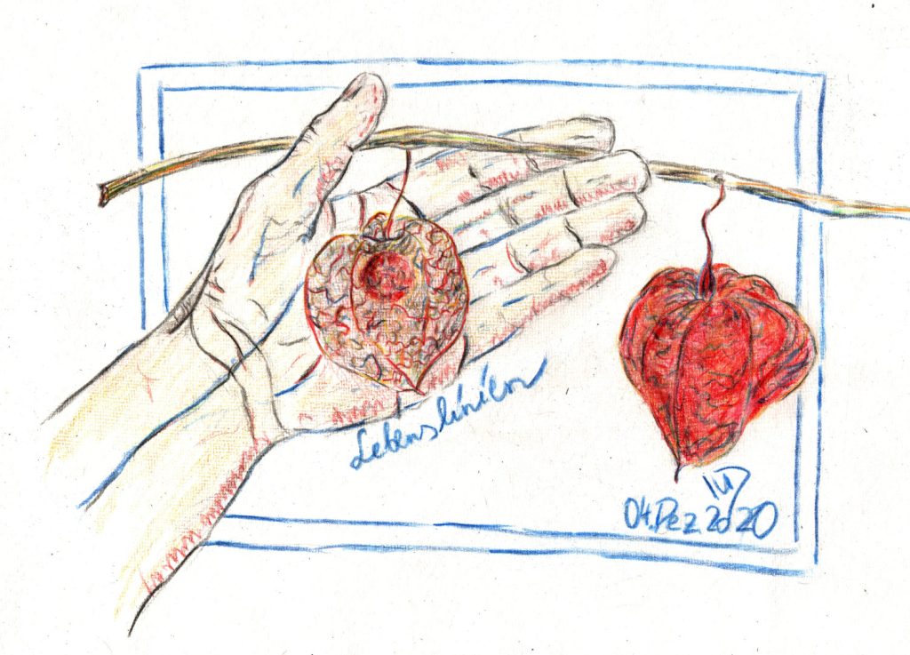 4. Dezember 2020.&nbsp;Lebenslinien