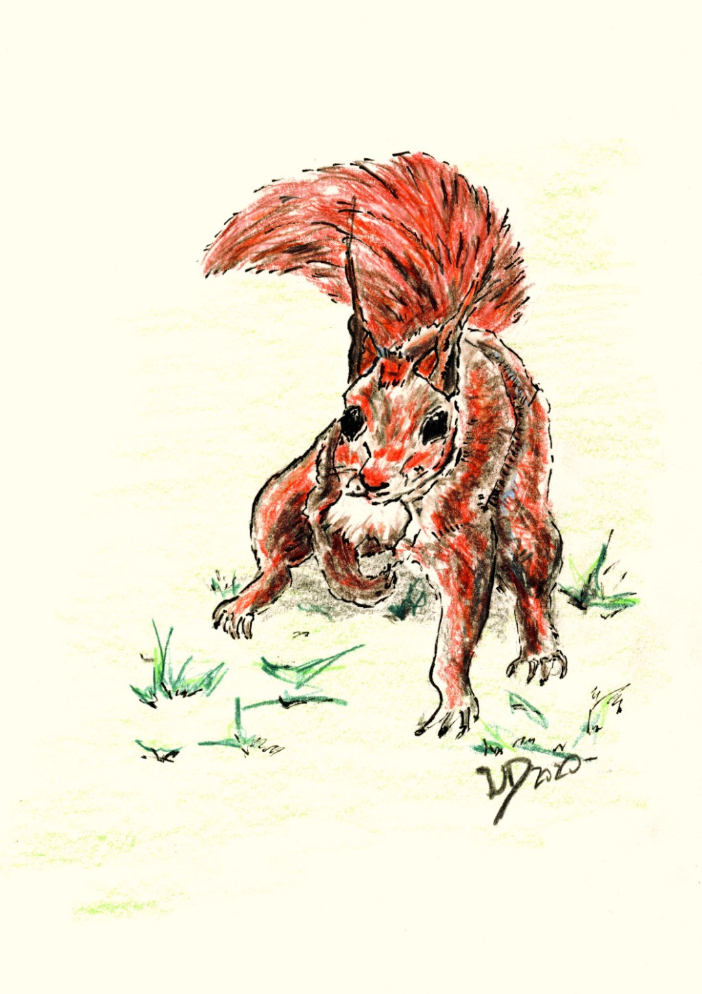 Für Eichhörnchenfans …