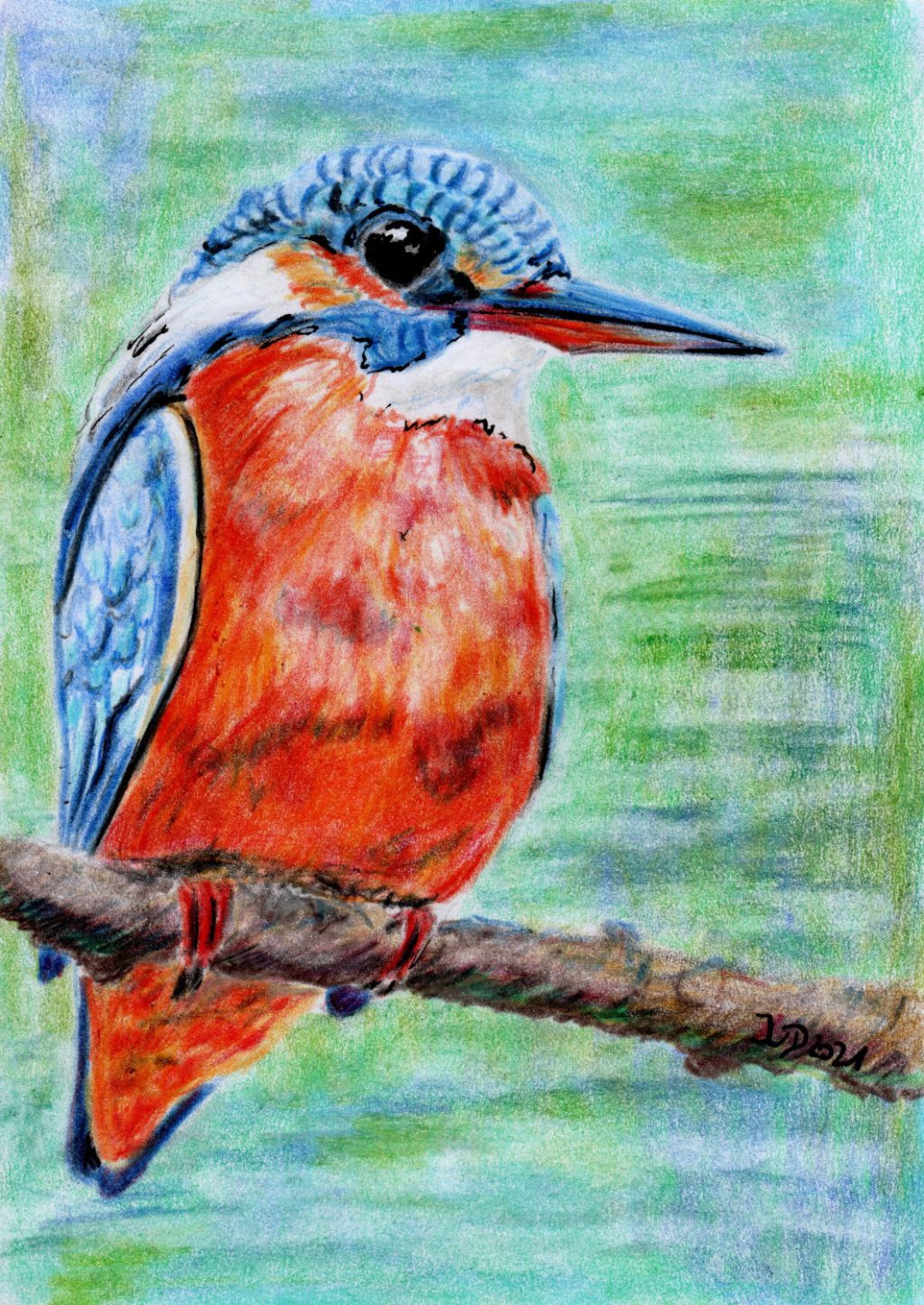 Buntstiftzeichnung. Eisvogel