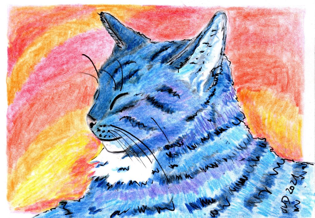 Blue cat