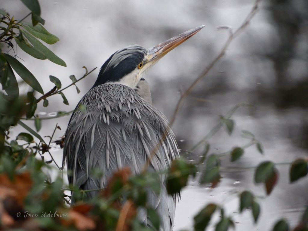 Kein Federlesen nötig