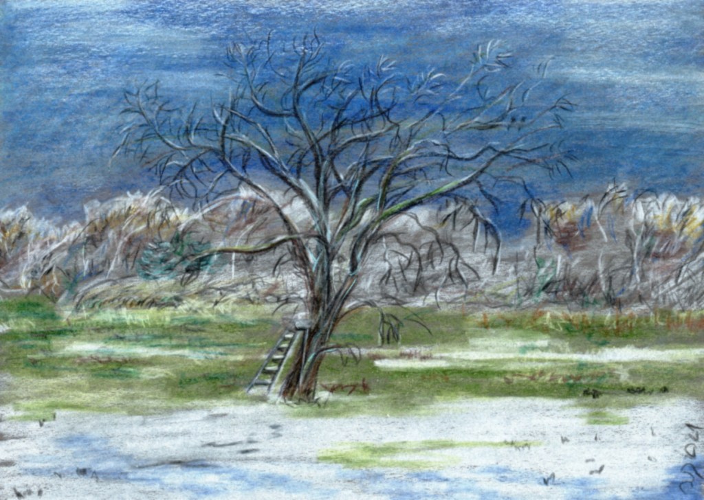 30 Tage – 30 Bäume. Baum 3 und&nbsp;4