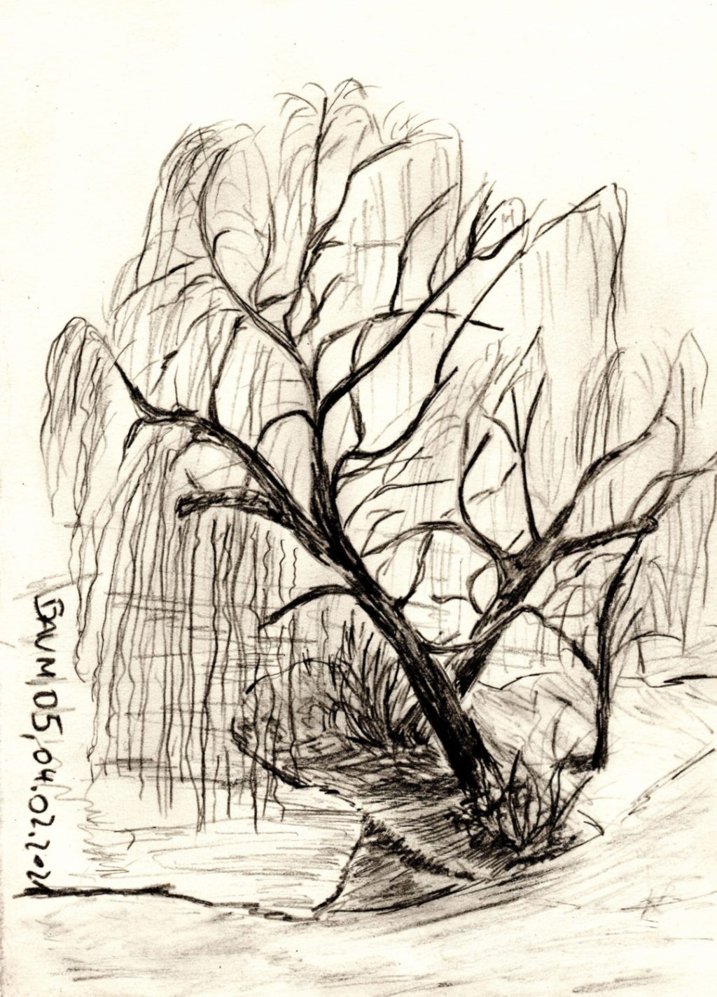 30 Tage – 30 Bäume. Baum 5 (kleine Bleistiftskizze)