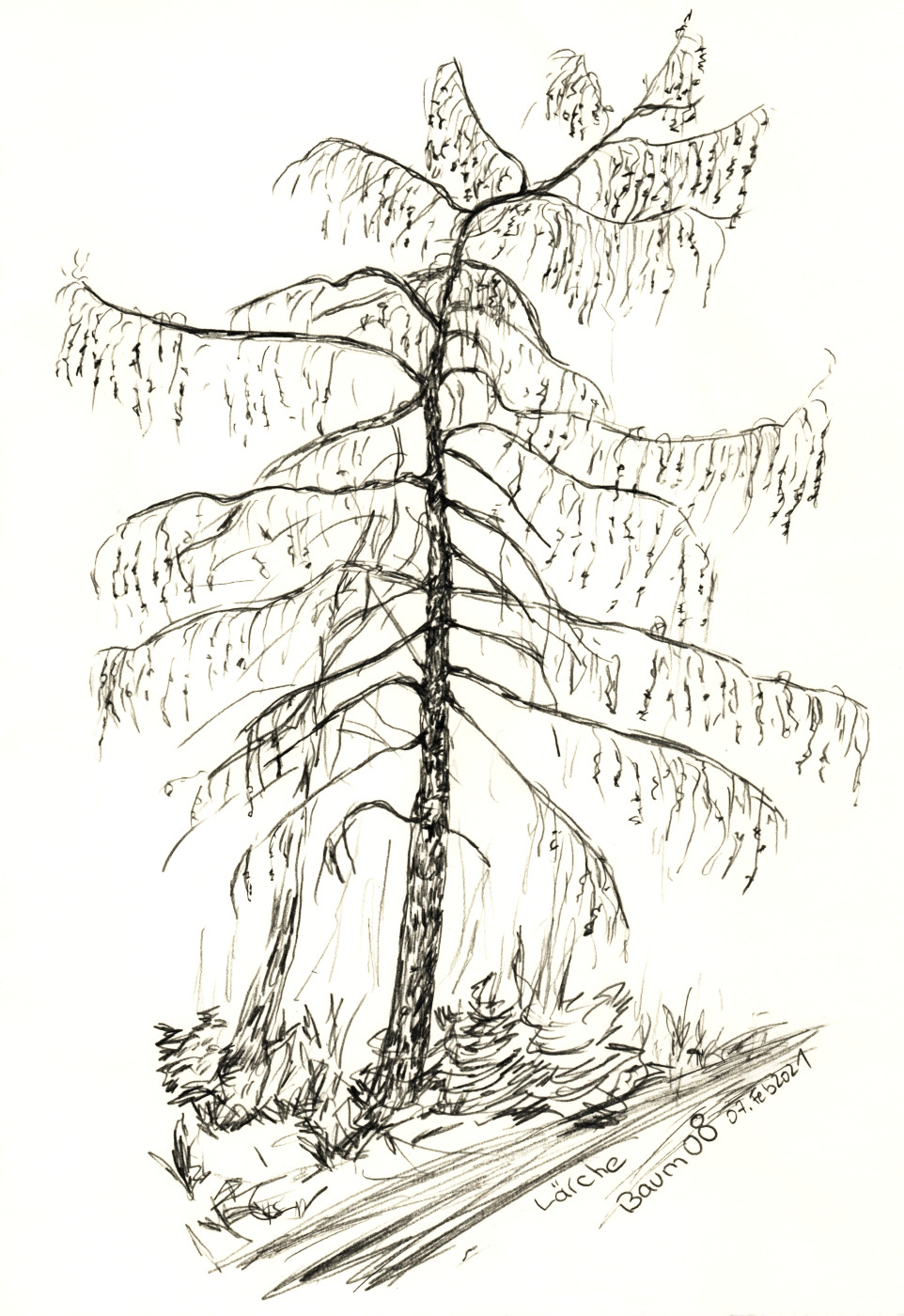 30 Tage – 30 Bäume. Baum&nbsp;8