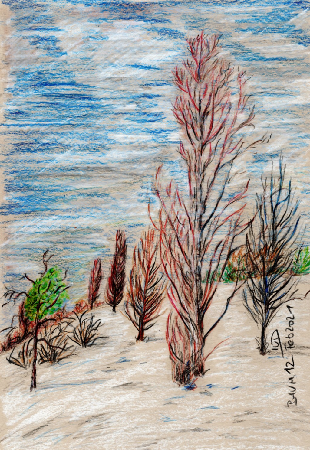 30 Tage – 30 Bäume. Pappellandschaft