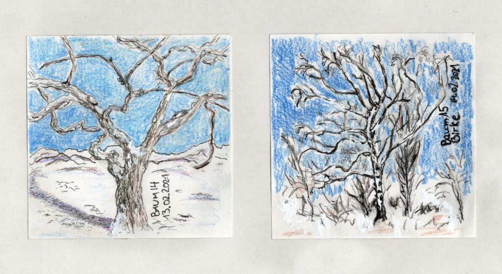 30 Tage – 30 Bäume. Baum 14 bis 16