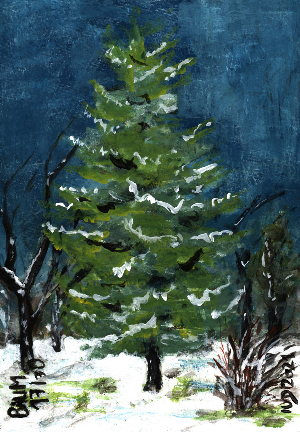 30 Tage – 30 Bäume. Baum 17