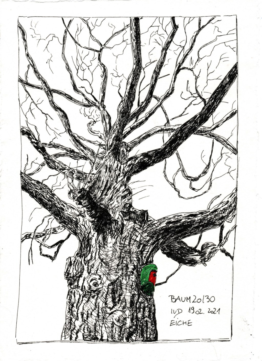 30 Tage – 30 Bäume. Baum&nbsp;20