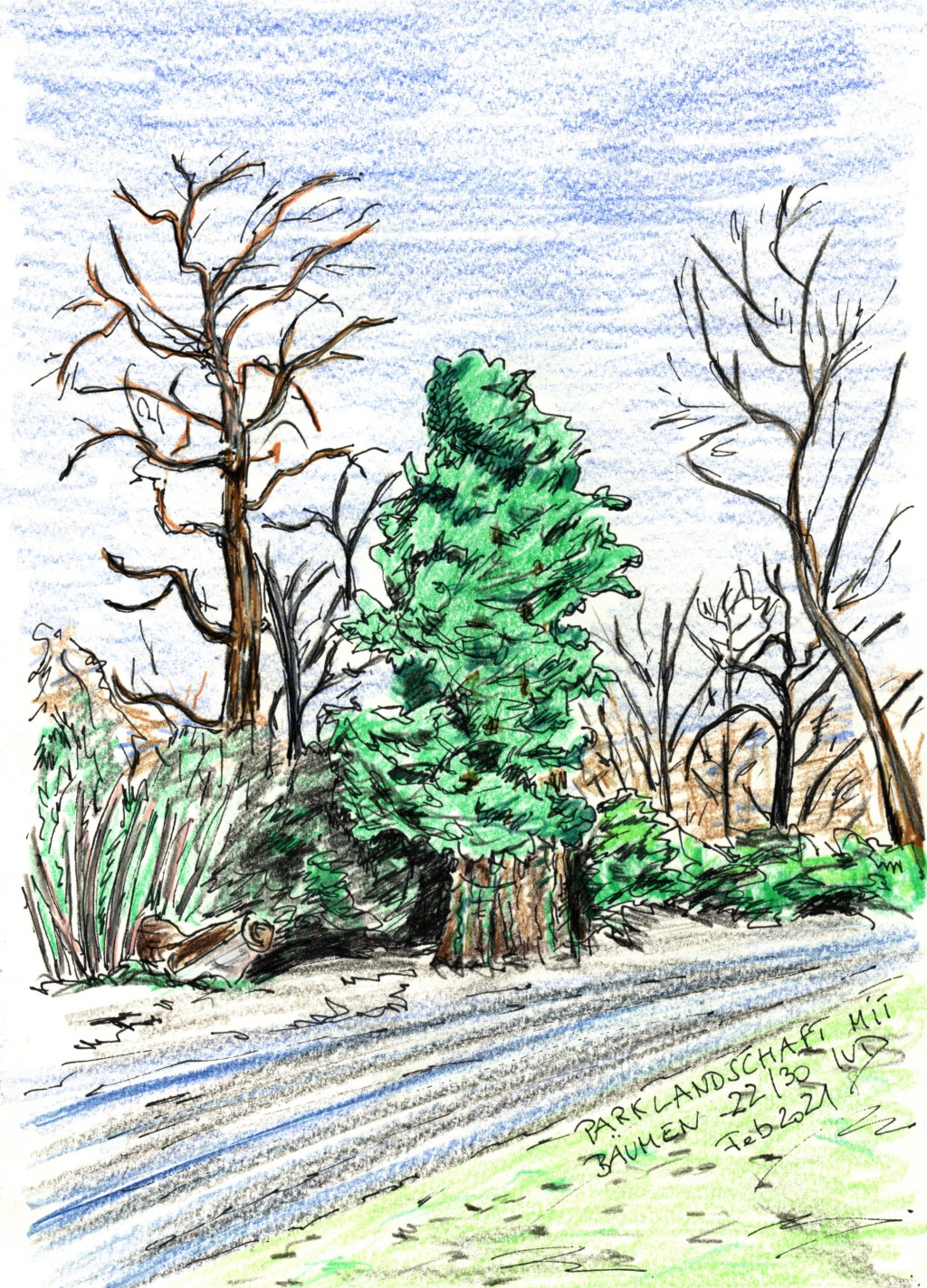 30 Tage – 30 Bäume. Baum&nbsp;22